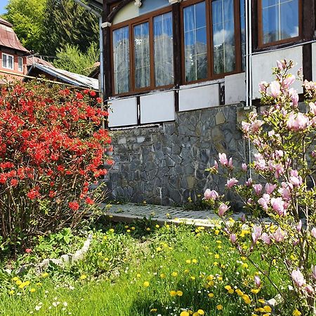 Vila Bradet Buşteni Exteriör bild