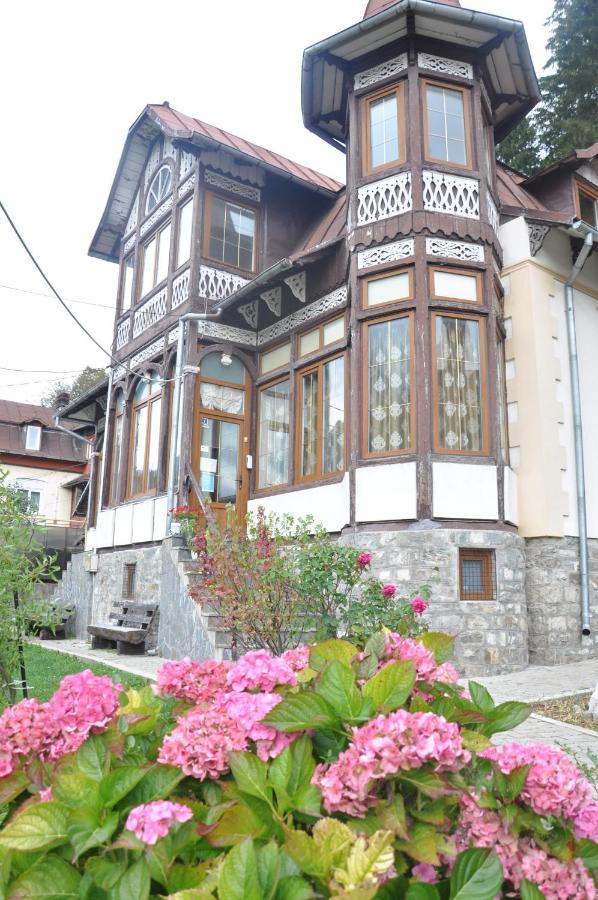 Vila Bradet Buşteni Exteriör bild