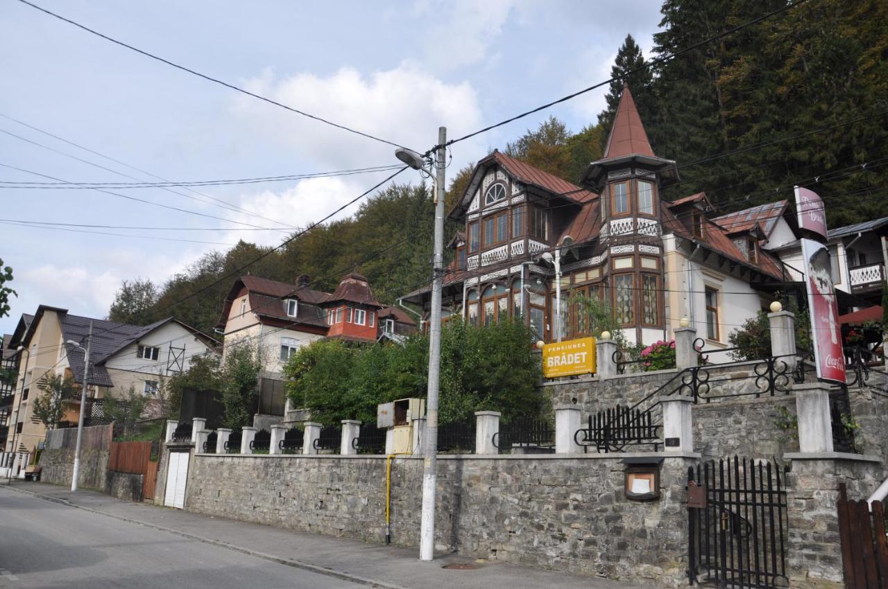 Vila Bradet Buşteni Exteriör bild