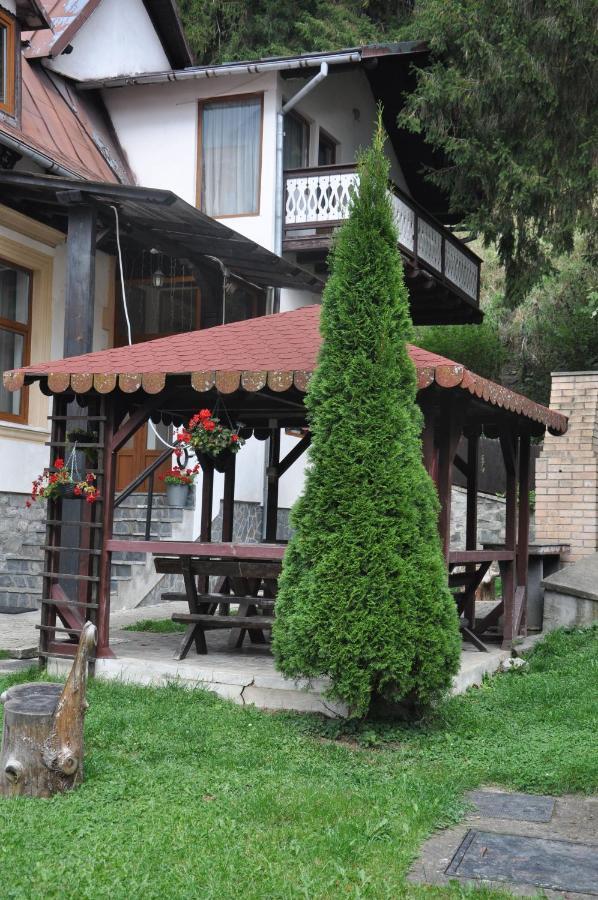 Vila Bradet Buşteni Exteriör bild