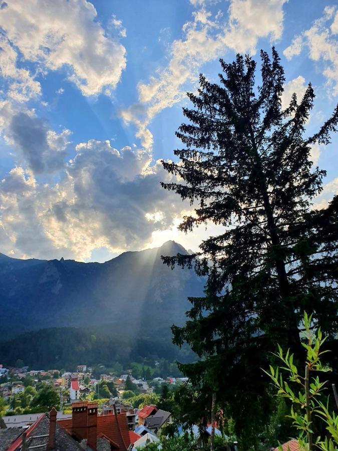 Vila Bradet Buşteni Exteriör bild