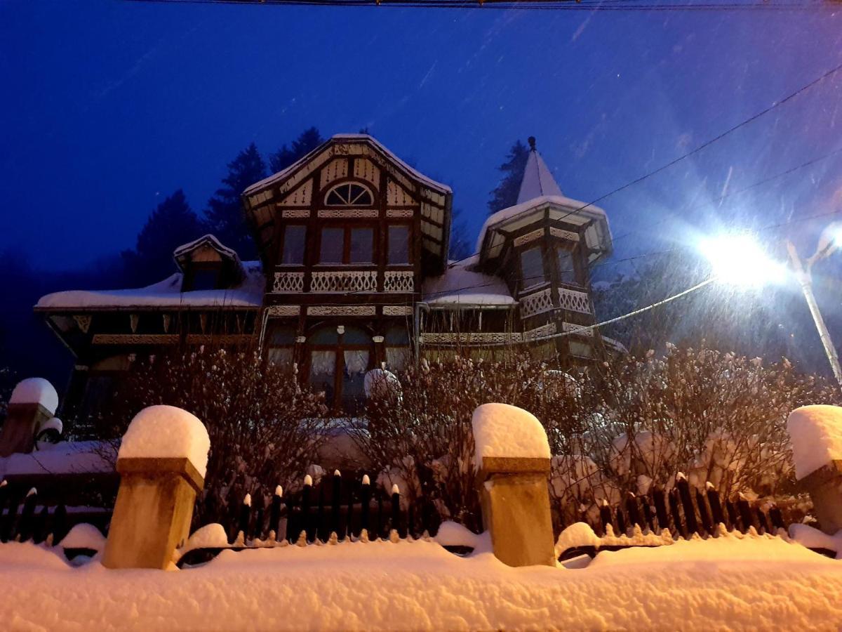 Vila Bradet Buşteni Exteriör bild