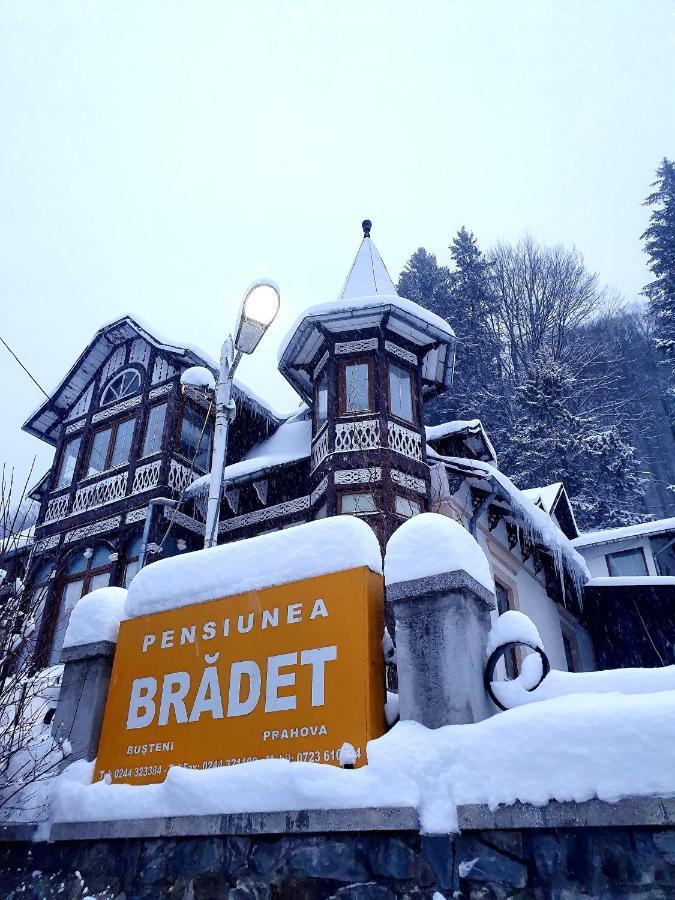 Vila Bradet Buşteni Exteriör bild