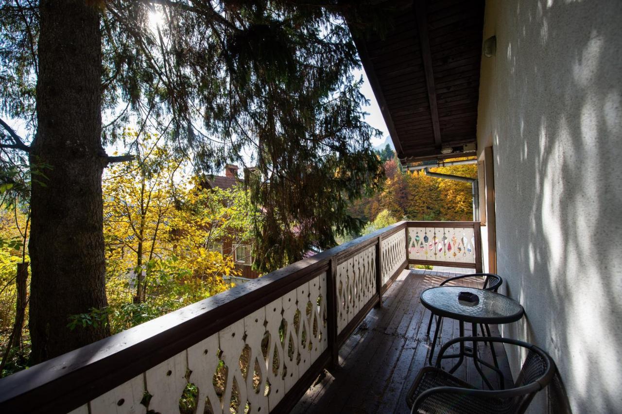 Vila Bradet Buşteni Exteriör bild