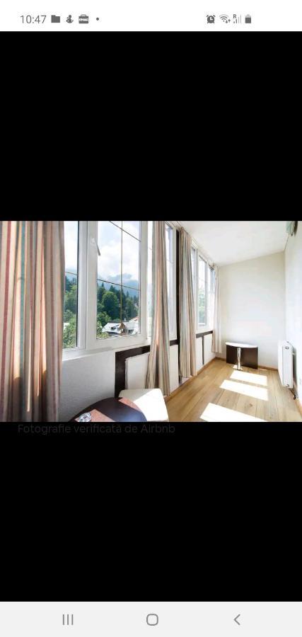 Vila Bradet Buşteni Exteriör bild