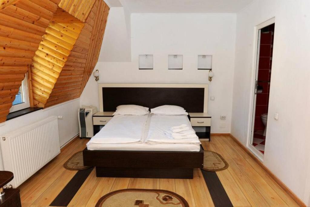 Vila Bradet Buşteni Exteriör bild