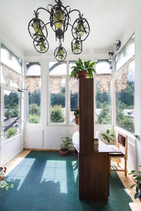 Vila Bradet Buşteni Exteriör bild
