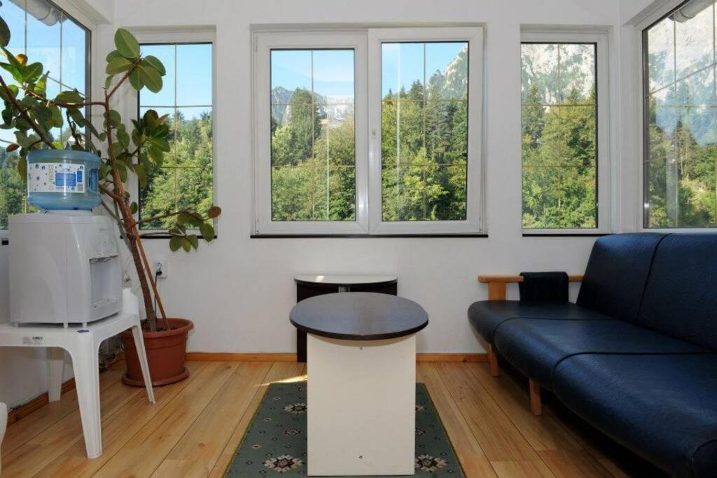 Vila Bradet Buşteni Exteriör bild