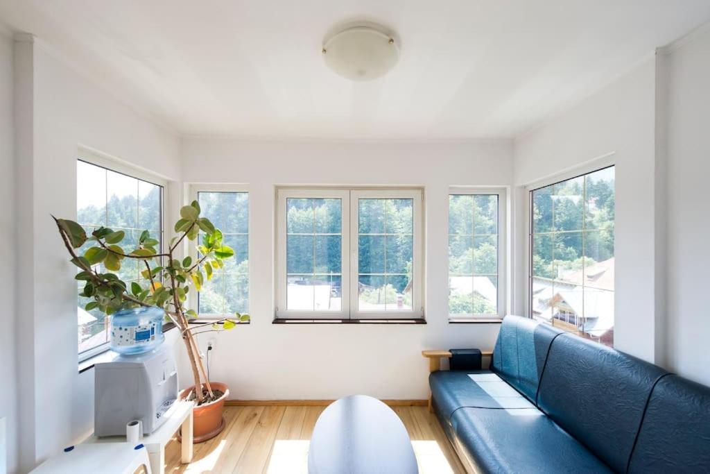 Vila Bradet Buşteni Exteriör bild